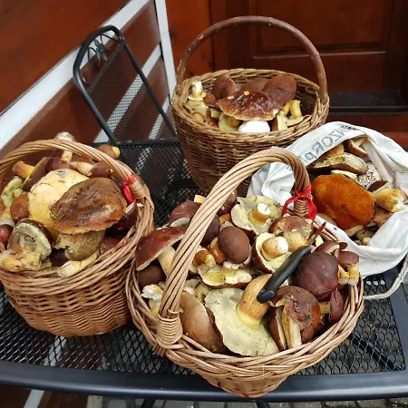 Roubenka Zlata Olesnice Domek letniskowy *
