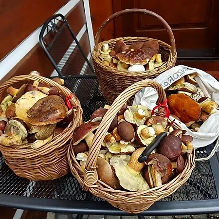 Roubenka Lodge Zlata Olesnice (Jablonec nad Nisou)
